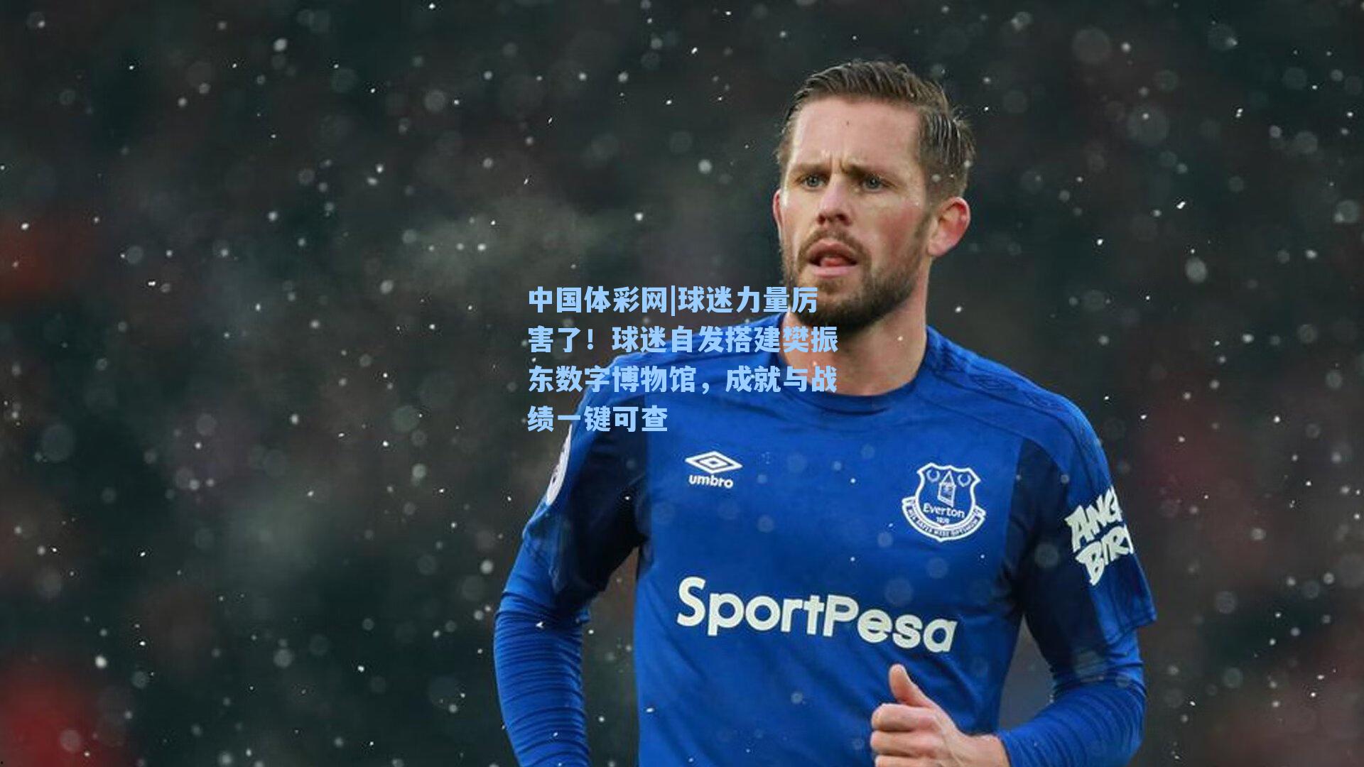 球迷力量厉害了!球迷自发搭建樊振东数字博物馆,成就与战绩一键可查