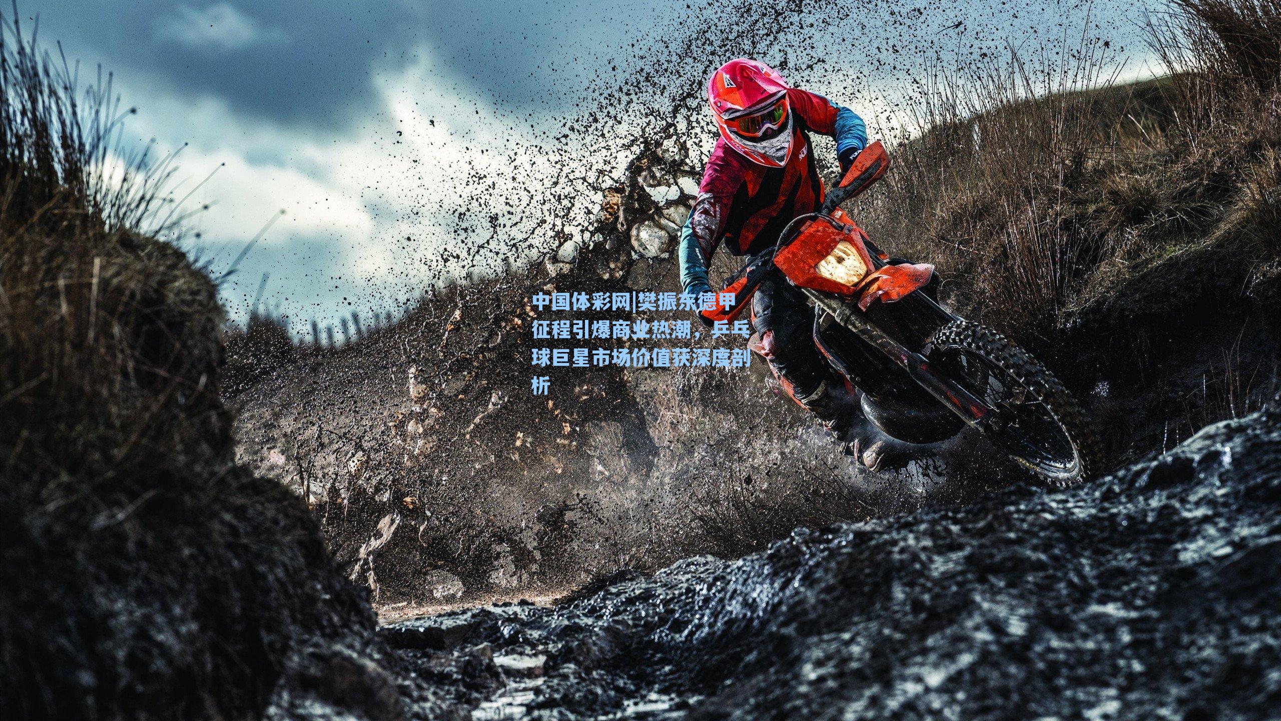 中国体彩网|樊振东德甲征程引爆商业热潮，乒乓球巨星市场价值获深度剖析
